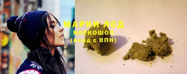 каннабис Аркадак