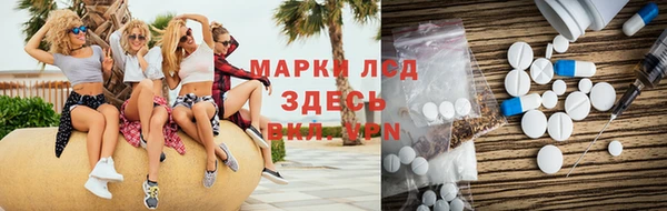 гидра Новозыбков