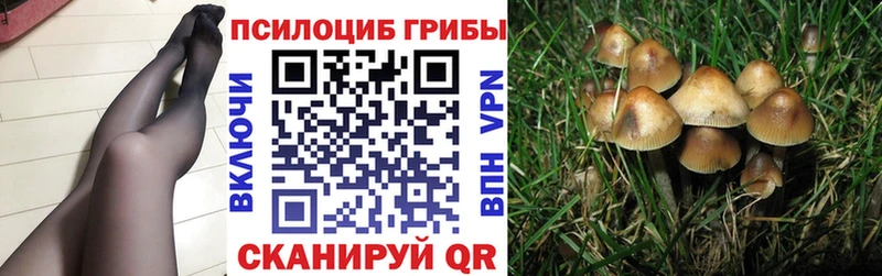 Псилоцибиновые грибы GOLDEN TEACHER  Светлогорск 